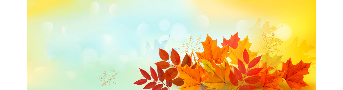 Why Fall Season Is the Best Time To Shop…For Anything!