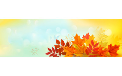 Why Fall Season Is the Best Time To Shop…For Anything!