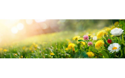 Spring Season Sure to Bring A Breath of Fresh Air for Texas