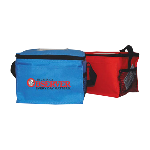 6-Pack Cooler Bag