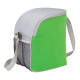 Cool Spring 12-Can Cooler