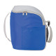 Cool Spring 12-Can Cooler
