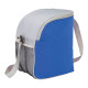Cool Spring 12-Can Cooler