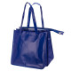 Voyager Dual Tote Bag