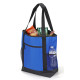 Insulated Cooler Tote Bag