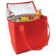 Non-Woven Cooler Bag
