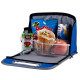 Stylish Lunch Cooler Bag