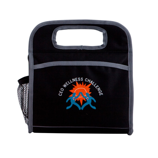 Stylish Lunch Cooler Bag